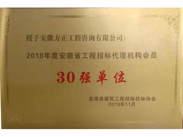 2019年招標(biāo)代理“30強(qiáng)單位”